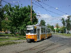 Korábbi, hamis állításával ellentétben a villamosok esetében a BKV nem tudja műszerrel mérni az utasszámot, csak a hasára ütve választja ki a ritkítandó vonalakat., Salgótarjáni utca, Budapest (forrás: Halász Péter)