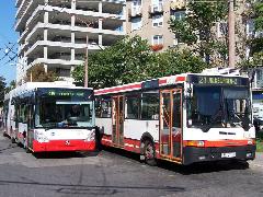 Melyiket szeressük?! Az Ikarus 435 a második legfontosabb busztípus a város tömegközlekedésében , autóbusz állomás, Pozsony (forrás: dr. Sinka Péter)