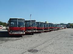 A 200-as sorozat utolsó forgalmi képviselői, emelkedő számsorrendben… , Petr¾alka autóbuszgarázs, Pozsony (forrás: Dobronyi Tamás)